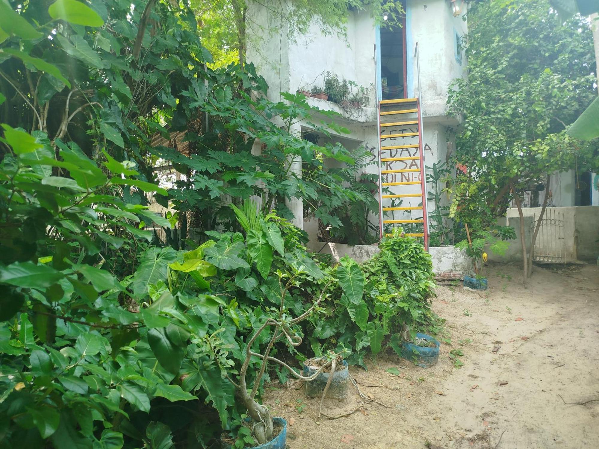 Hospedaria Camarinha Fulni-O Eusébio 外观 照片